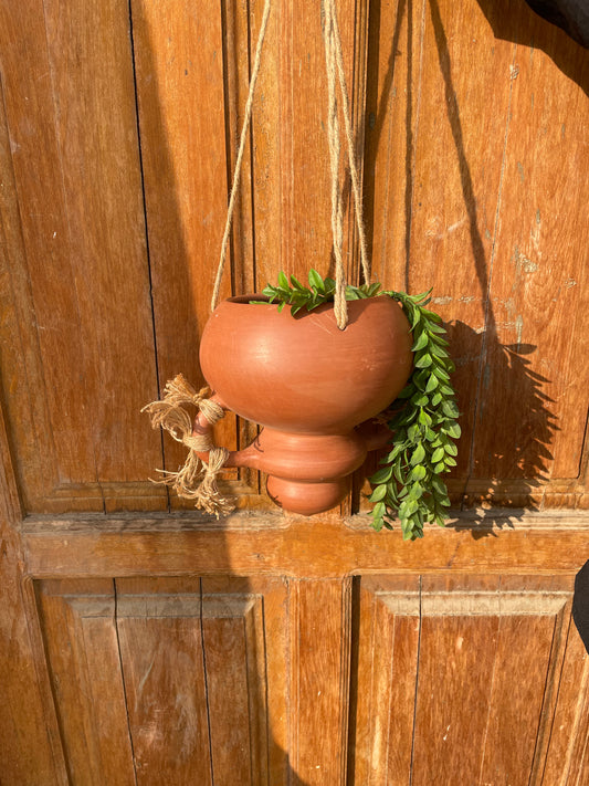 Hanging Planter